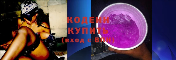 крисы Верхний Тагил