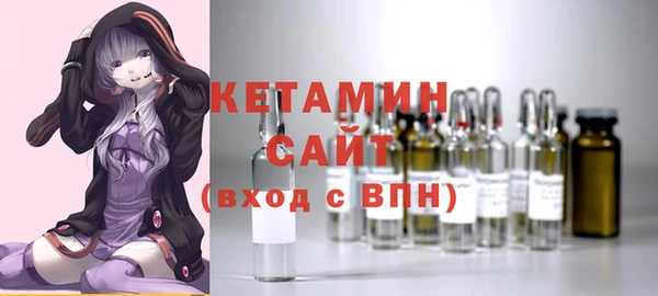 твердый Бородино