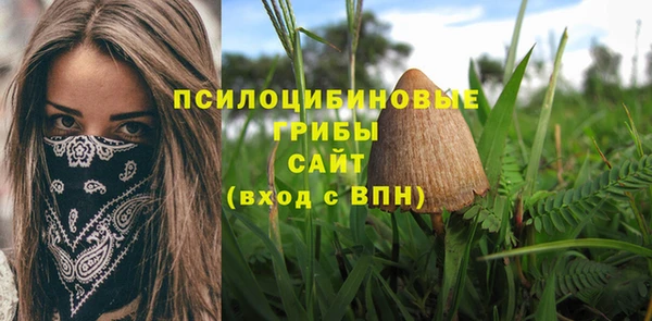 спиды Верея