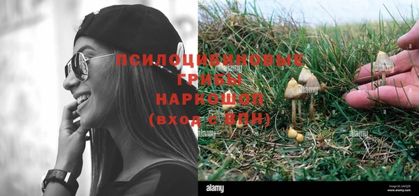 крисы Верхний Тагил