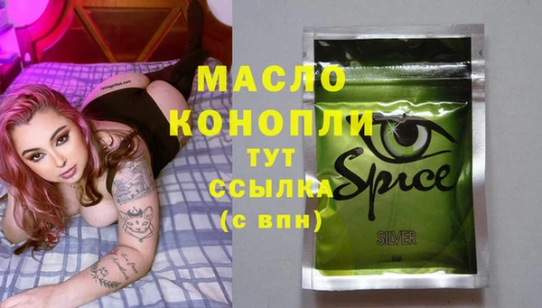 крисы Верхний Тагил