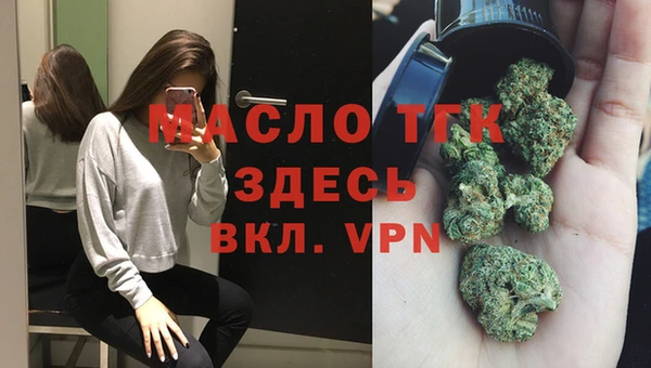 крисы Верхний Тагил