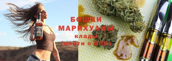 твердый Бородино