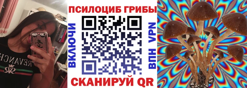 Галлюциногенные грибы мухоморы  где продают   Минусинск 